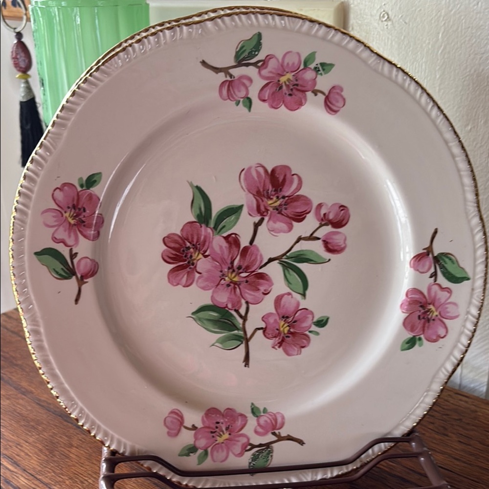 Dogwood Liberty Plates by Homer Laughlin